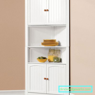 Cabinet for dishes in the kitchen