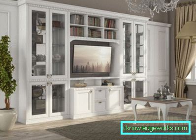 107-Cabinets for the living room - photo examples