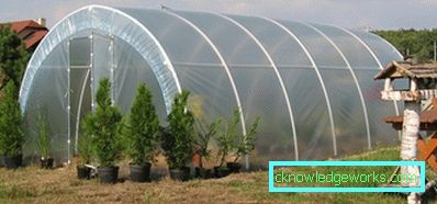 56-Polycarbonate greenhouse with its own