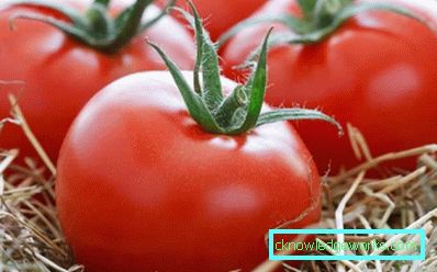 179-Tomato Yamal