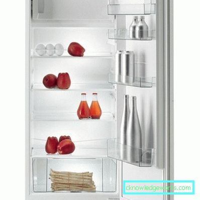 Built-in refrigerators Gorenje